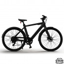 Keskin eBike 250W