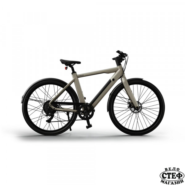 Keskin eBike 250W