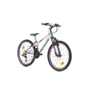 Велосипед SPRINT CALYPSO 24"