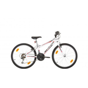 ВЕЛОСИПЕД Probike TEMPO 24'