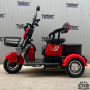 ТРИМЕСТНА ЕЛЕКТРИЧЕСКА ТРИКОЛКА TS 350-7-NEW 1500W 25AH