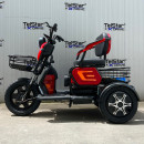 Триместна електрическа триколка TS 350-7-OFFROAD 2000W 25Ah